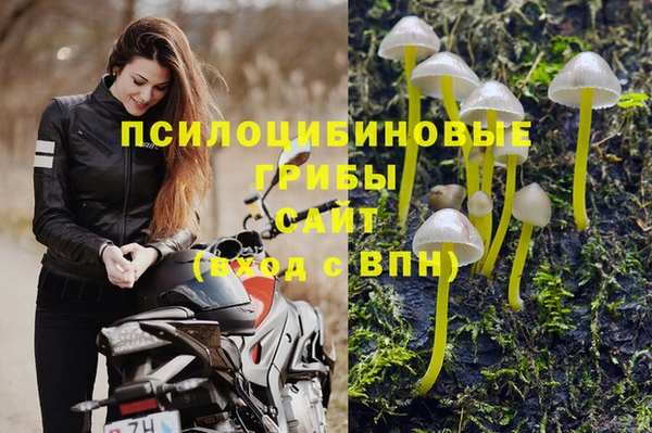 гашик Заволжск
