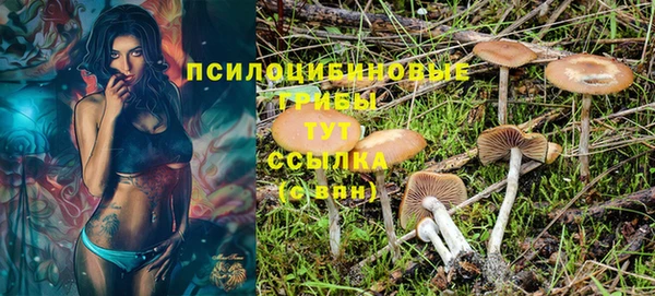 гашик Заволжск